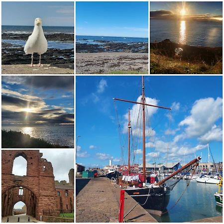 Apartmán The Snug Arbroath Exteriér fotografie